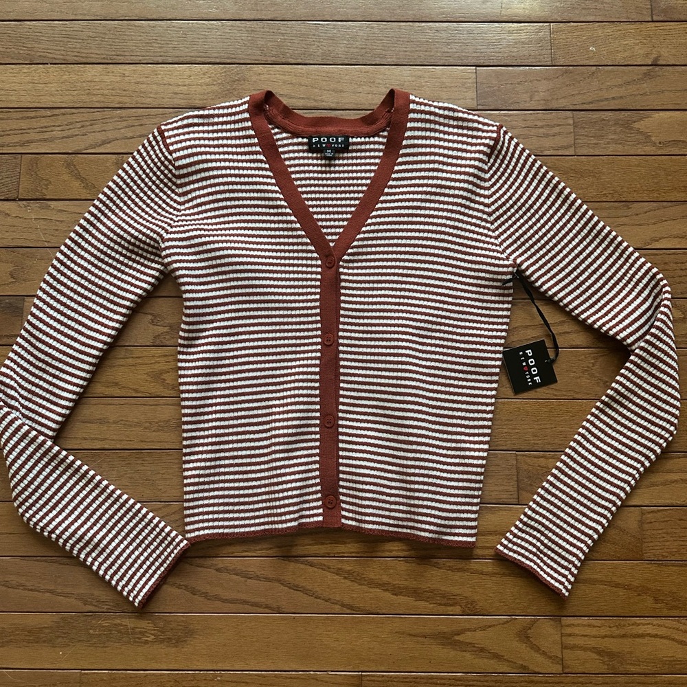Burnt Orange and White Striped Button-Up Cardigan